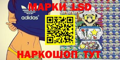 бошки Кимры